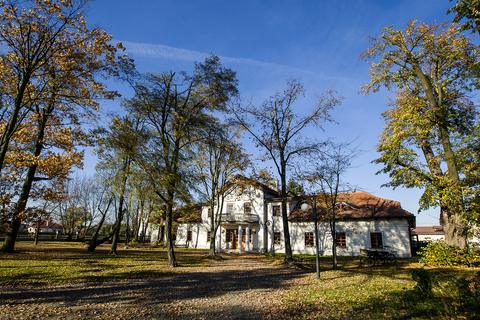 Jesienne drzewa i dwór w głębi parku